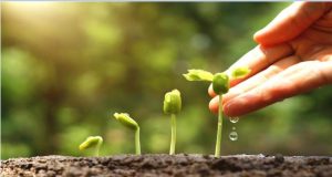 CAPTURA CURSO AGRICULTURA ECOLOGICA