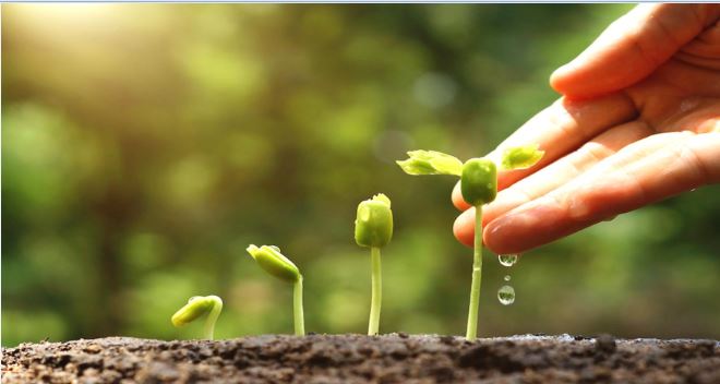 CAPTURA CURSO AGRICULTURA ECOLOGICA