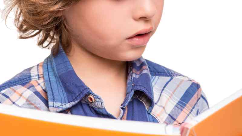 Ssce0112 Atencion Al Alumnado Con Necesidades Educativas Especiales Acnee En Centros Educativos EFA LA NORIA