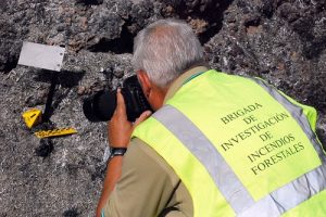 biif brigada de investicacic3b3n de incendios forestales