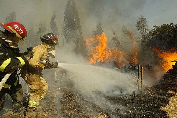 Incendio Bosque